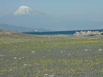 海岸