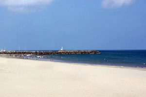 【静波海水浴場／車7分】はいなん自動車学校は海の近くの教習所。夏になれば海水浴客でにぎわう地域です。