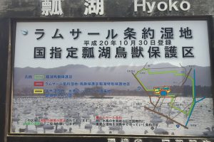 ラムサール条約で保護されている瓢湖（ひょうこ）は31科100種の鳥類の生息が確認されており、毎年10月頃～3月頃にかけて約6000羽のオオハクチョウ及びコハクチョウが飛来する「白鳥の湖」として有名です。