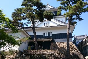 【岡崎城／教習所から車で14分】岡崎の有名な観光地の岡崎城です。歴史を学ぶとともに5階まで上がれば岡崎の町を眼下に見下ろす絶景も堪能できます。営業時間は9:00～17:00（入館は16:30まで）です。