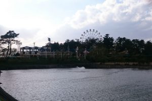 【南公園／教習所から徒歩9分】教習所近隣の南公園内には市民プール、テニスコート、遊園地などが入っています。散策するのもオススメです。