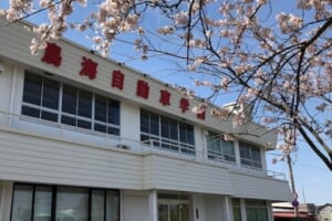 教習所前の桜並木